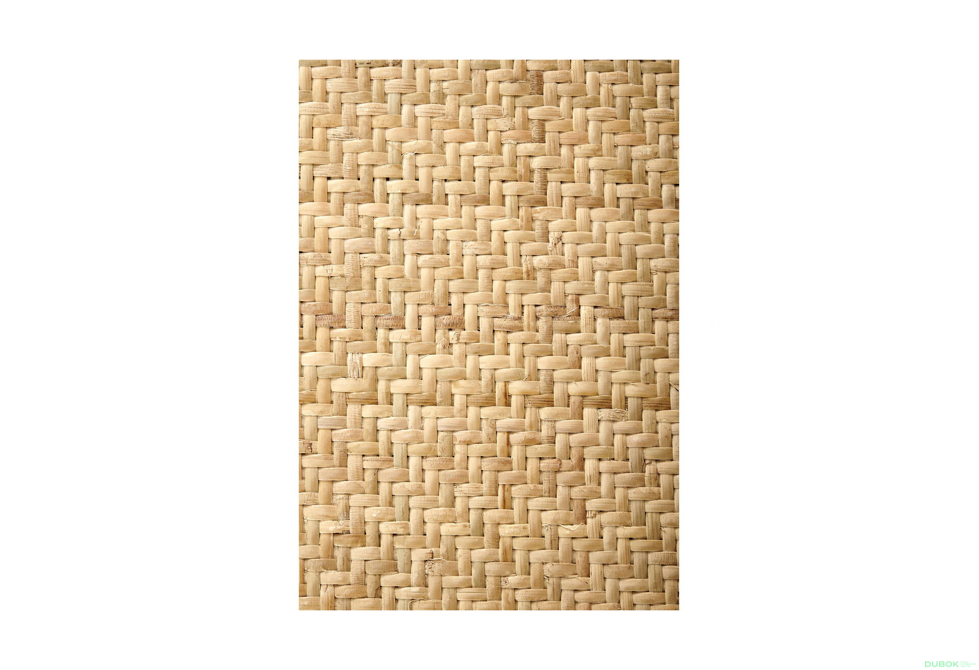 Obrázek 11 - Židle K502 natural